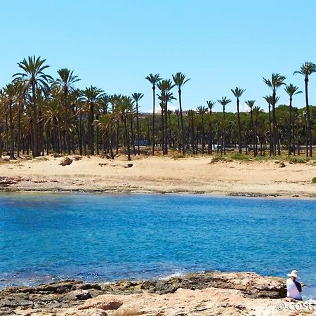 Brisas Del Mar Azul Διαμέρισμα Τορεβιέχα Εξωτερικό φωτογραφία