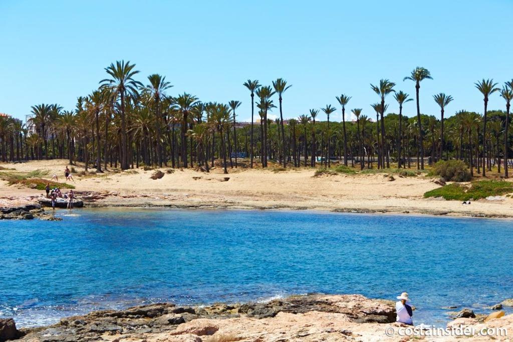 Brisas Del Mar Azul Διαμέρισμα Τορεβιέχα Εξωτερικό φωτογραφία