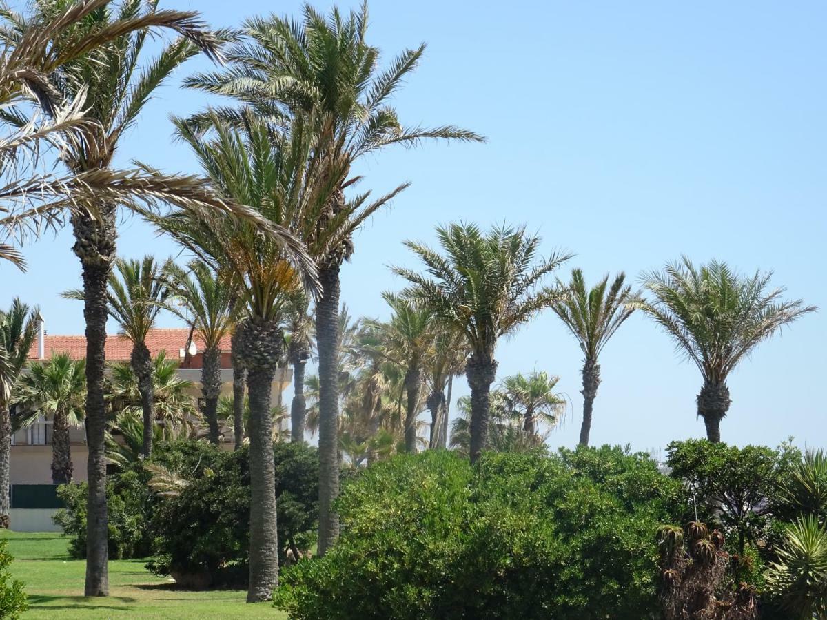 Brisas Del Mar Azul Διαμέρισμα Τορεβιέχα Εξωτερικό φωτογραφία