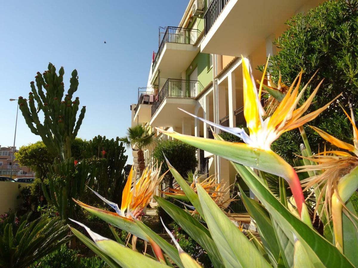 Brisas Del Mar Azul Διαμέρισμα Τορεβιέχα Εξωτερικό φωτογραφία