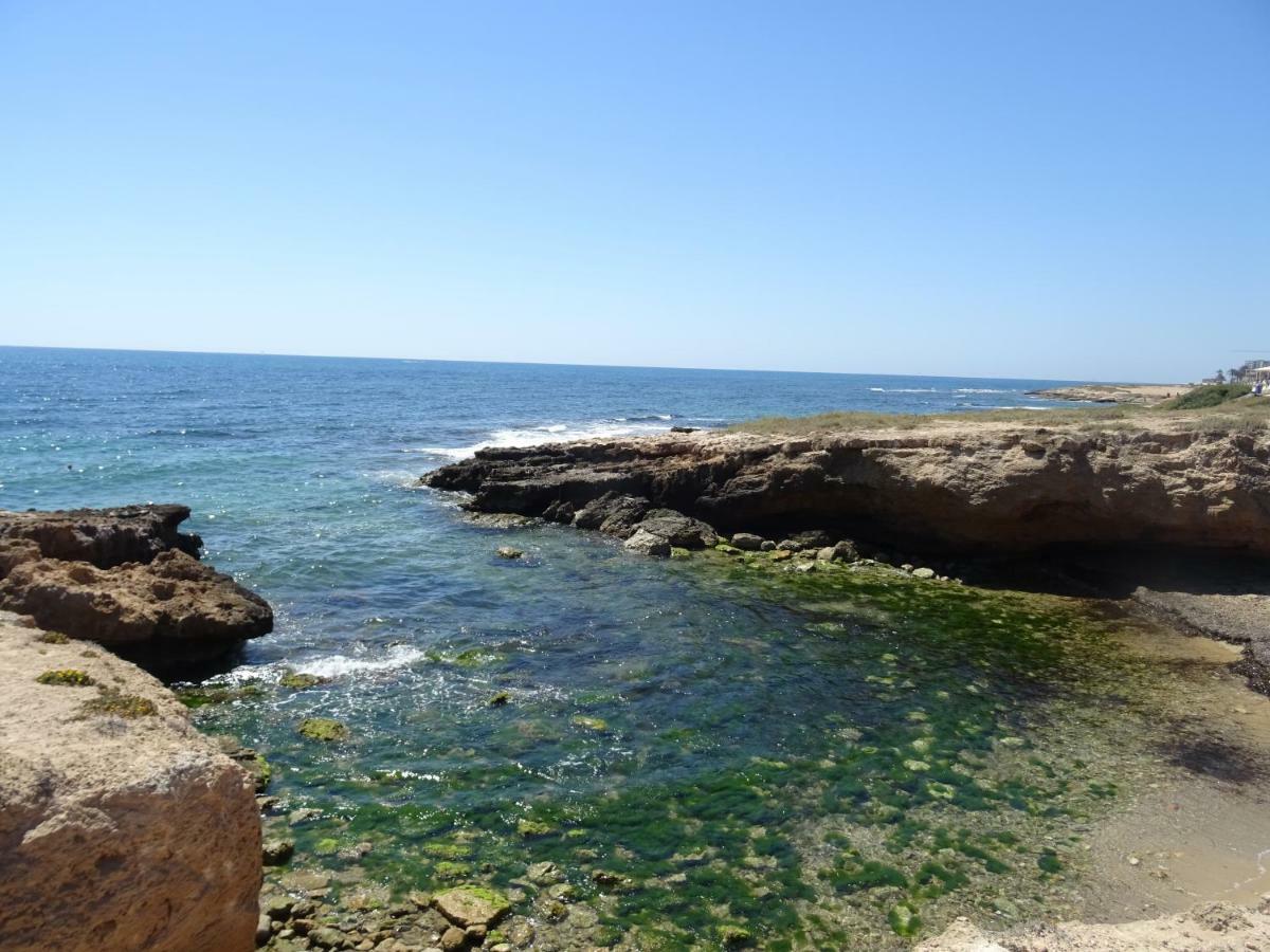 Brisas Del Mar Azul Διαμέρισμα Τορεβιέχα Εξωτερικό φωτογραφία